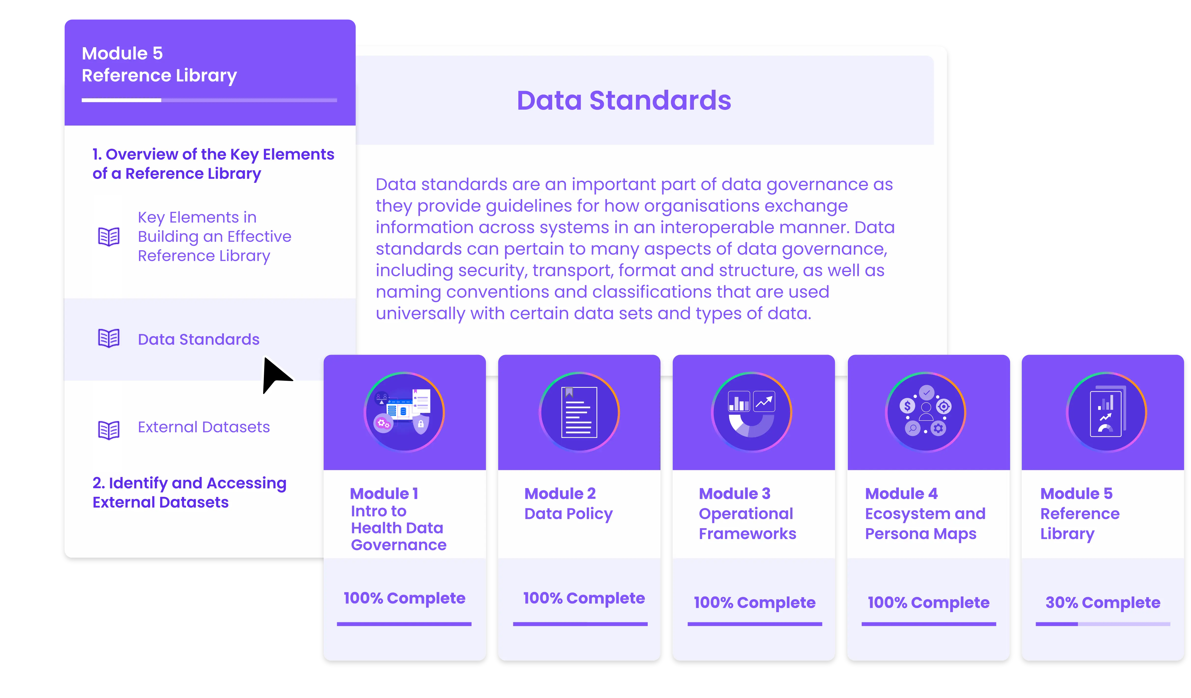 Open Health Data Governance Lifetime Access