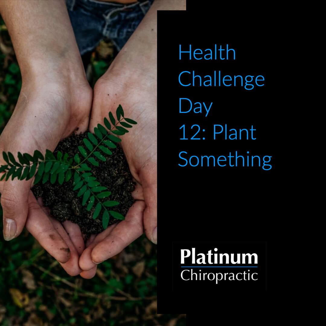 Platinum Health Challenge Day 12: Plant Something