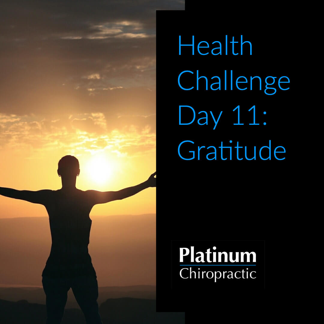 Platinum Health Challenge Day 11: Gratitude