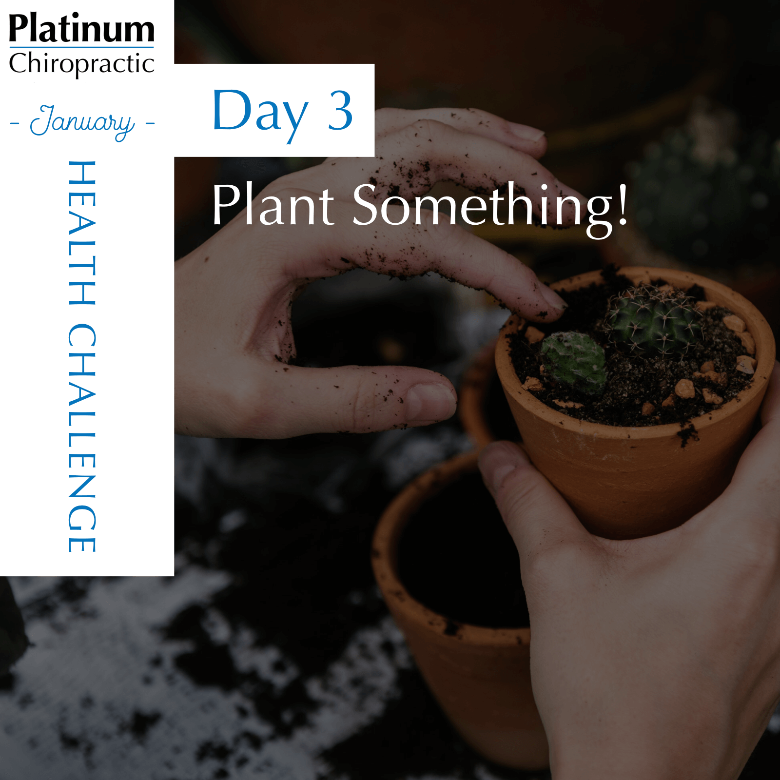 Day 3 of our Patient Appreciation Challenge, plant something. Stop by the office for a gardening kit.