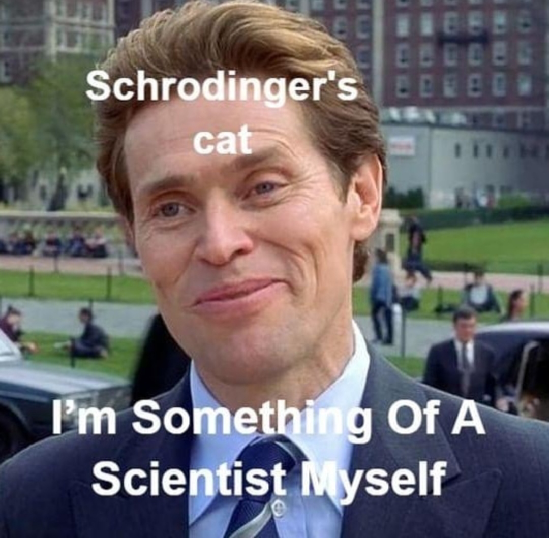Scrodinger's cat made a good contribution to science 😄