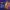 Banner Img