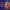 Banner Img
