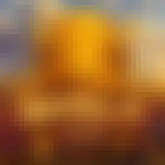 Buffalo Wild Collection