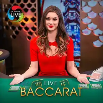 Baccarat A01 No Commission