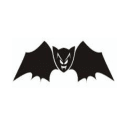 Hervey Bay Fruitbats (Masters)