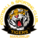 Tigers (Lower South West Junior Football Association)