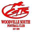 Woodville South Junior FC