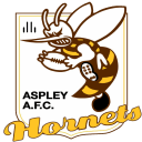 Aspley Hornets JAFC (South East Queensland Juniors)