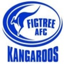 Figtree Auskick Centre