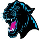 Terrigal-Avoca Panthers Junior AFC