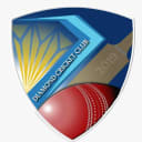 Diamond Cricket Club Inc