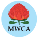 Manly Warringah Cricket Association