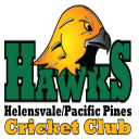 Helensvale Pacific Pines Cricket Club