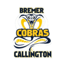 Bremer Callington Cricket Club