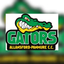 Allansford-Panmure Cricket Club Inc.