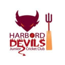 Harbord Devils Cricket Club