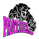 Port Panthers Netball Club