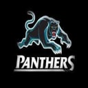 Panthers Netball Club (Bathurst)