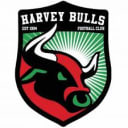 Harvey Bulls Netball Football Club