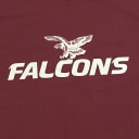 Falconsport Basketball