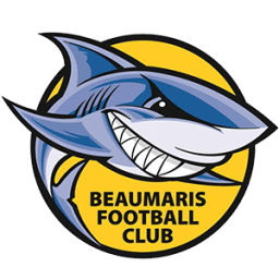 beaumaris thirds mens logo