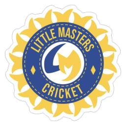 LITTLE MASTER CRICKET - Play Online for Free!