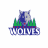 Meeniyan Wolves Basketball Club