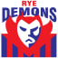 Rye Football Netball Club