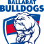 Ballarat Bulldogs (FIDA)