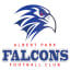 Albert Park FC