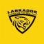 Labrador AFC