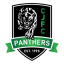 Cheltenham Junior Football Club (SMJFL)