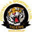 Tigers (Lower South West Football League)