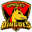 Dingley Junior Football Club (SMJFL)