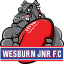 Wesburn Junior Football Club (AFL Outer East JFL)