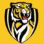 Moore Park Tigers Junior AFL Club