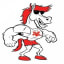 Mandurah Mustangs (Perth Football League)