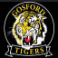 Gosford Tigers Junior AFC