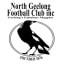 North Geelong Football Club