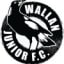 Wallan Junior Football Club (NFNL)