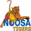 Noosa JAFC (South East Queensland Juniors)