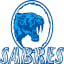 Sturt Sabres Basketball Club