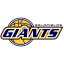 Goldfields Giants Basketball Club