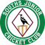 Souths Junior Cricket Club