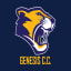 Genesis Cricket Club