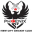 New City Cricket Club