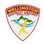 Wellington District Cricket Association (NSW) (Senior)