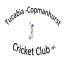 Tucabia-Copmanhurst Cricket Club