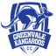 Greenvale Kangaroos Cricket Club